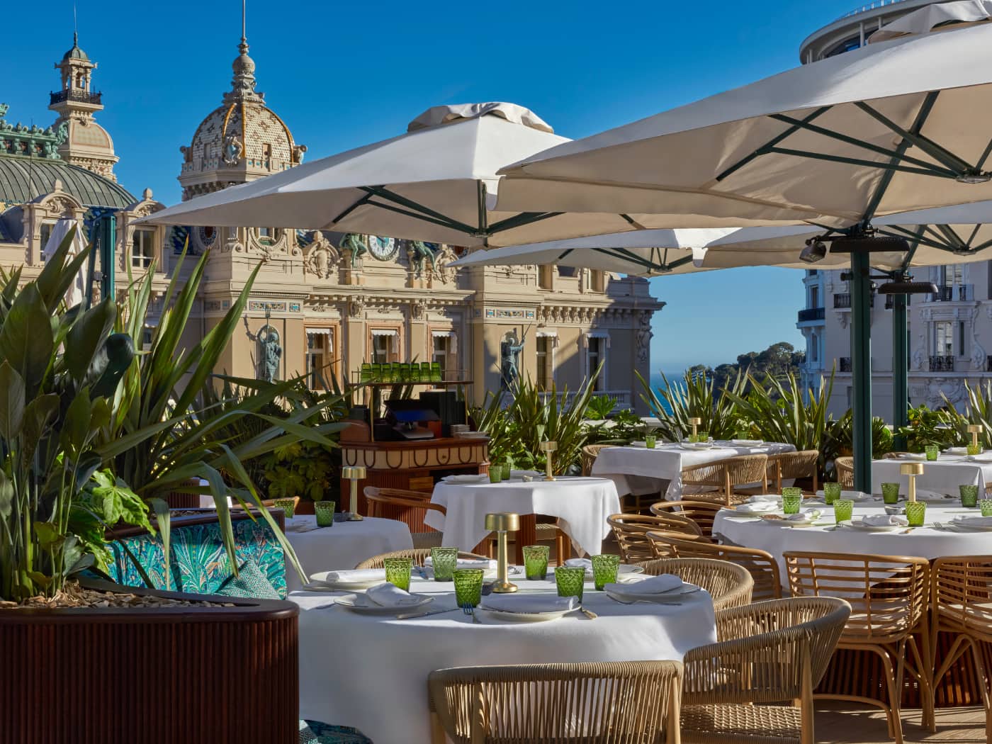 Amazonico Monte Carlo