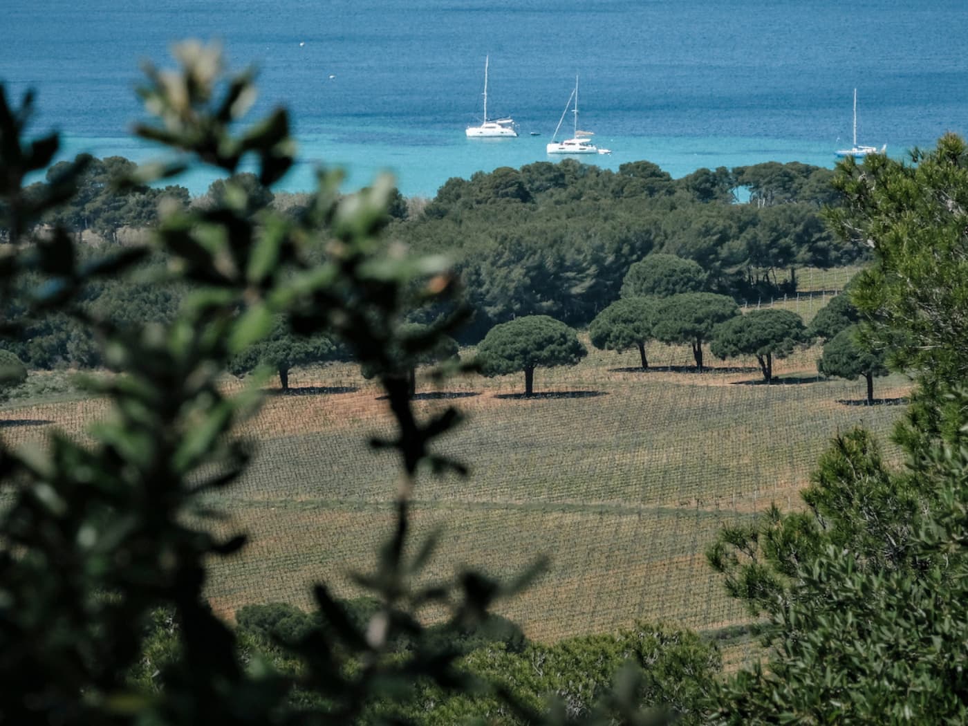 Spiagge del Var