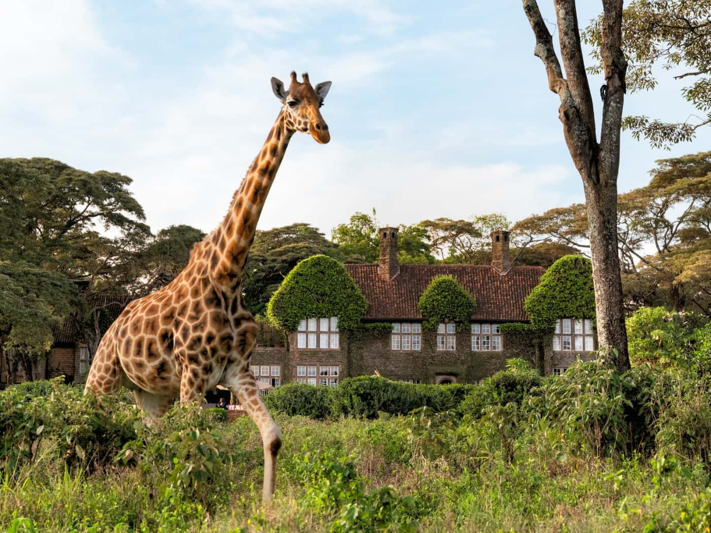 Giraffe Manor, boutique hotel di Nairobi