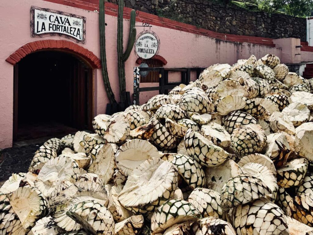 Cava La Fortaleza. Foto di Chiara Buzzi