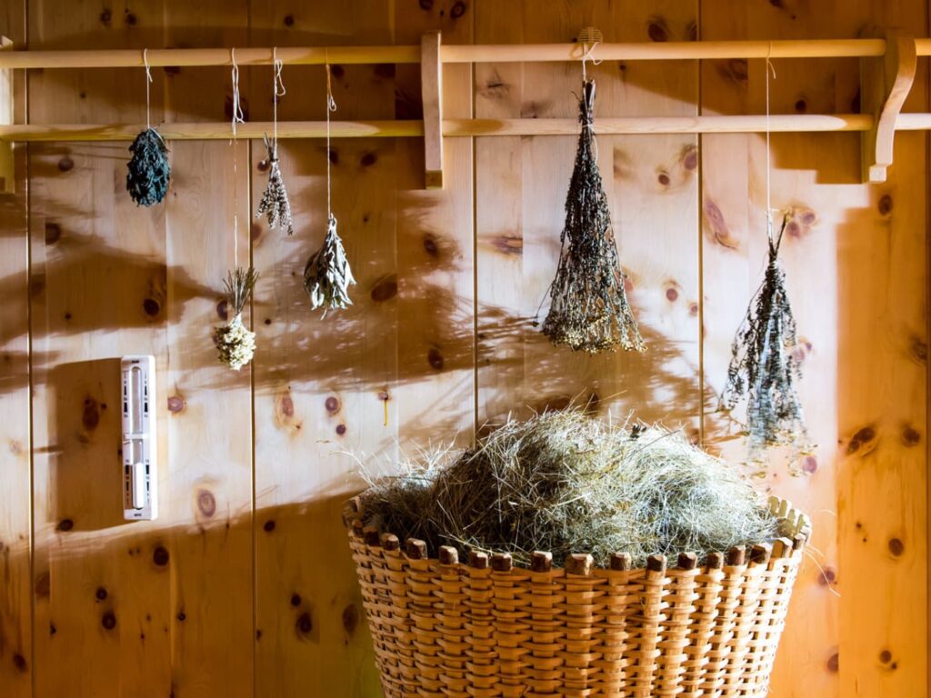 Sport Hotel Panorama