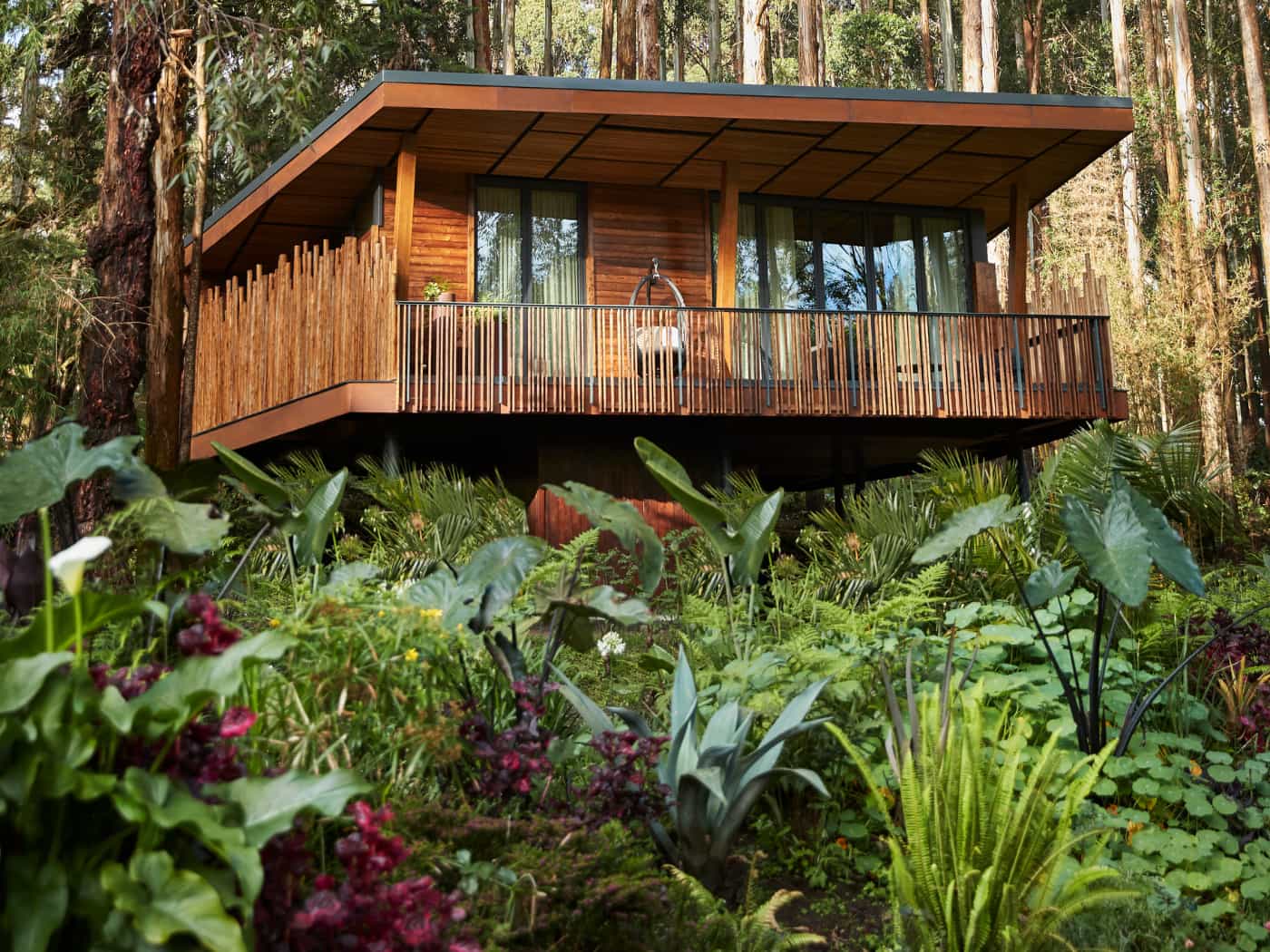 One&Only Gorilla's Nest