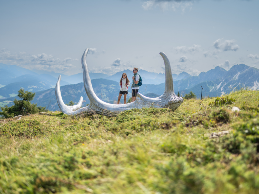 Via Artis Plan de Corones