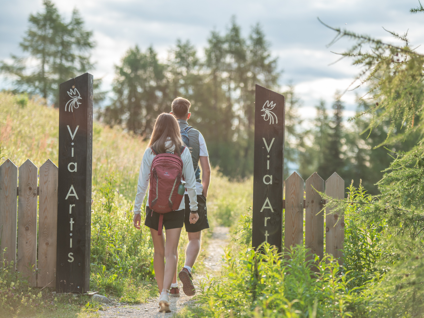 Via Artis Plan de Corones