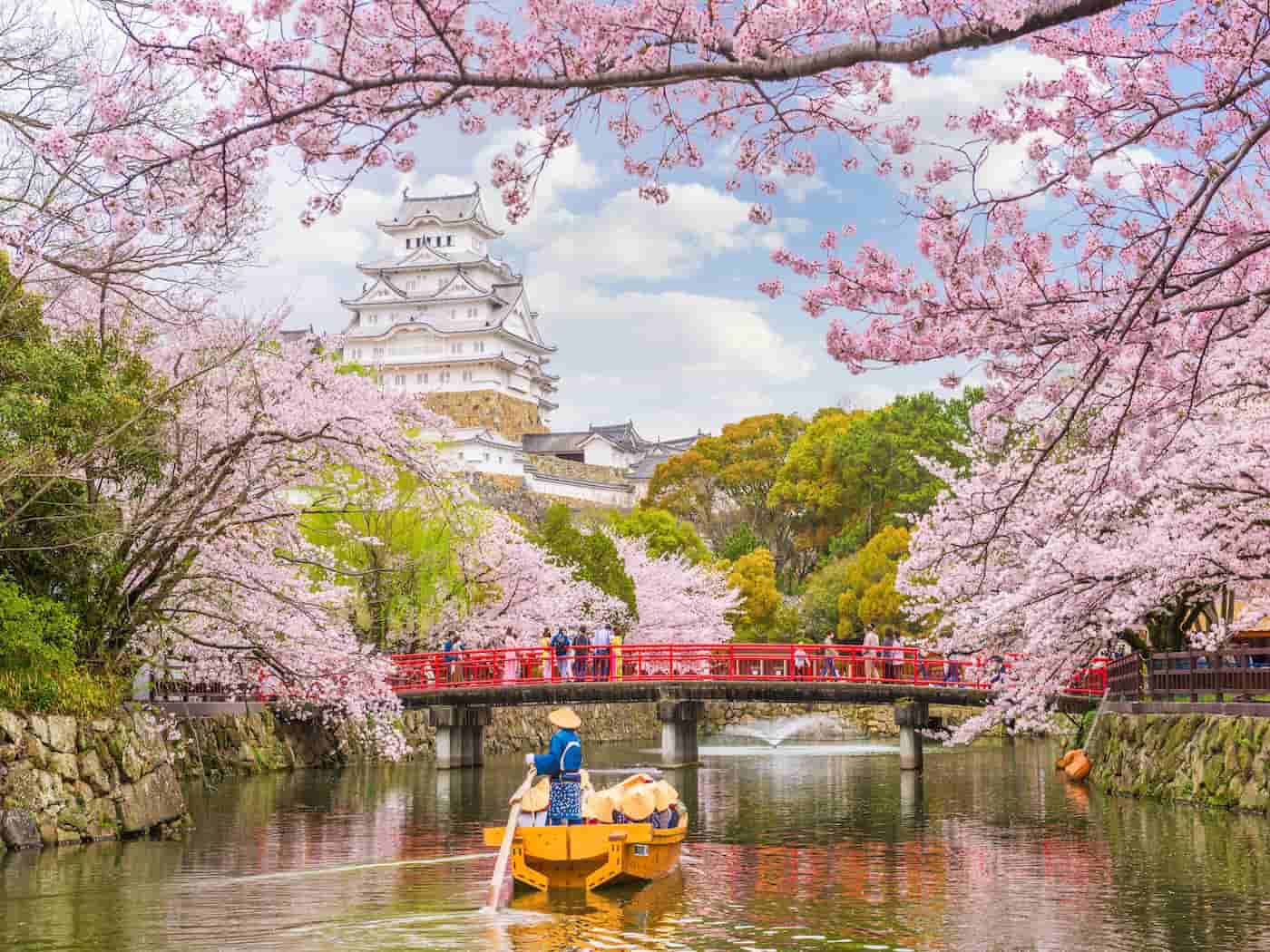 Giappone, tra tradizione e sakura