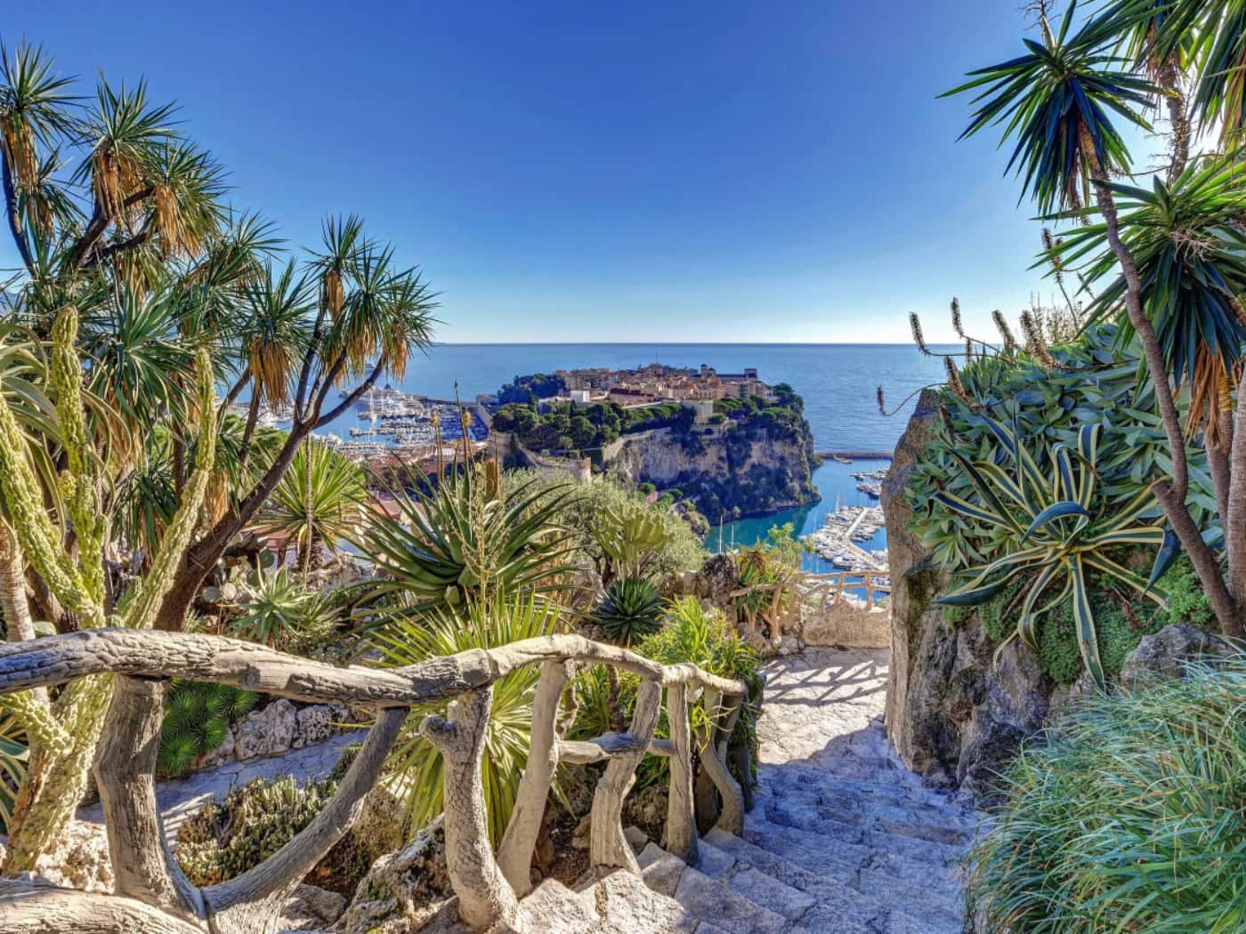 Jardin Exotique de Monaco