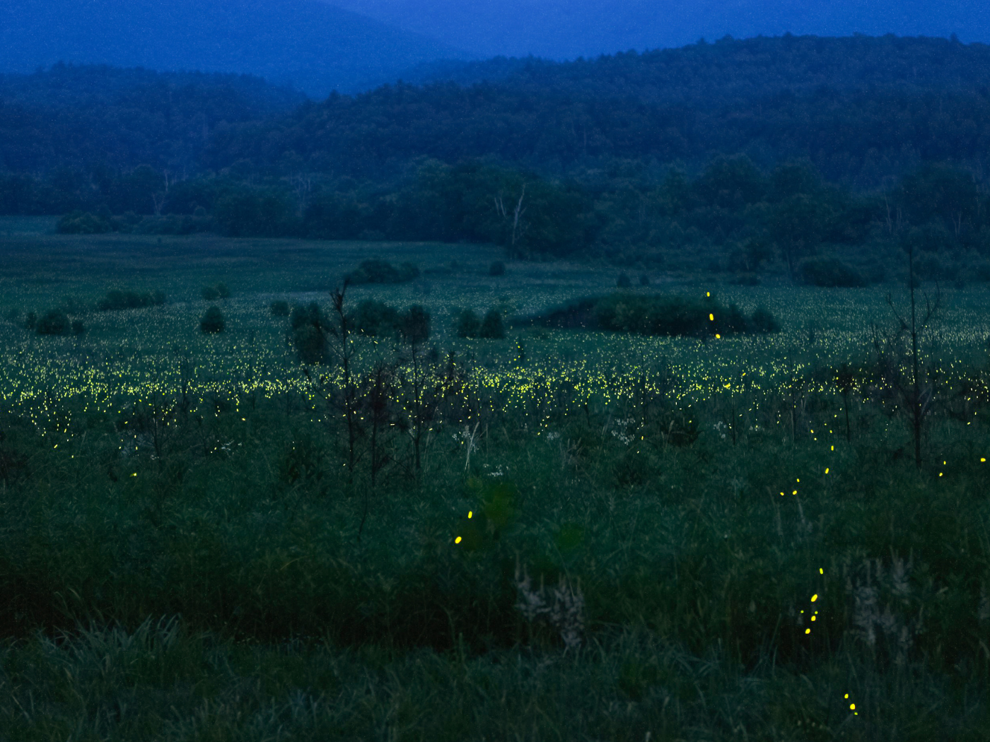 Knoxville, Tennessee - Stati Uniti