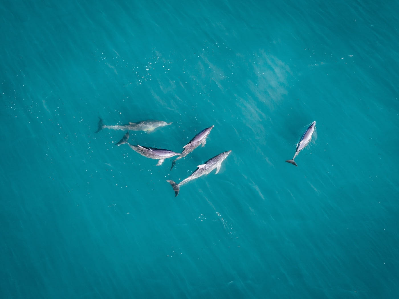 La Coral Coast: tra oceano e deserto