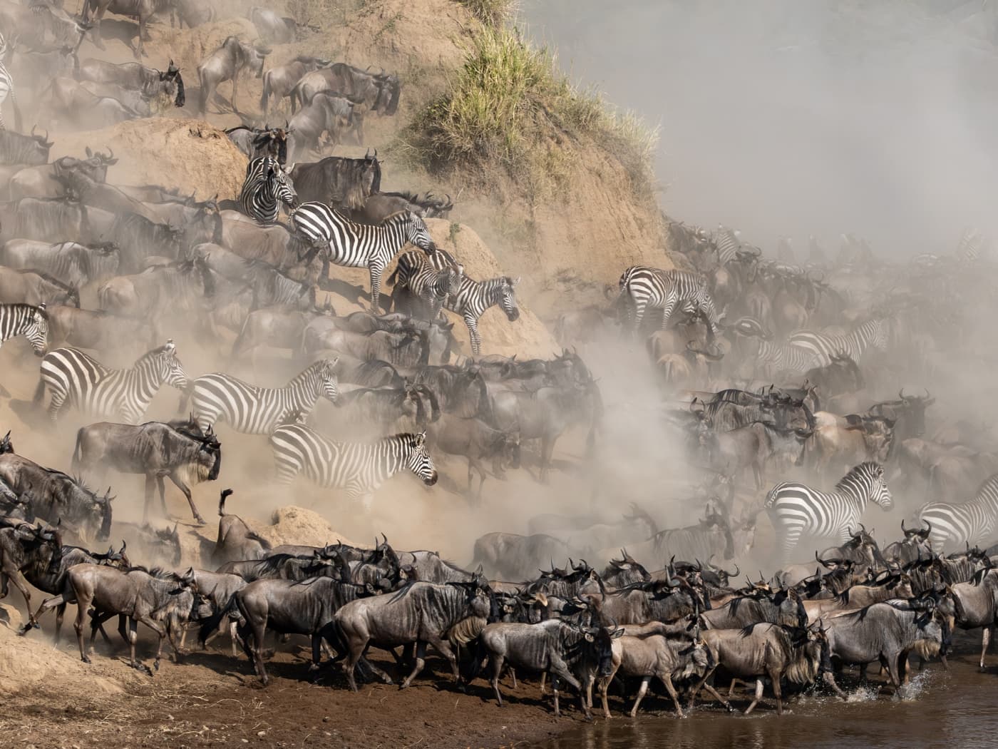 Grande migrazione Masai Mara.