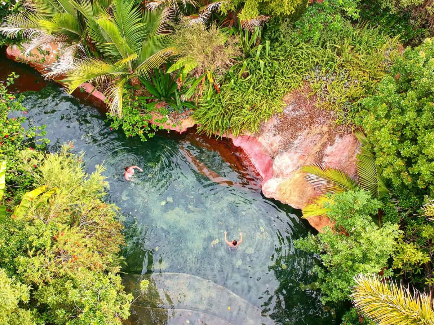 The Lost Spring, Nuova Zelanda