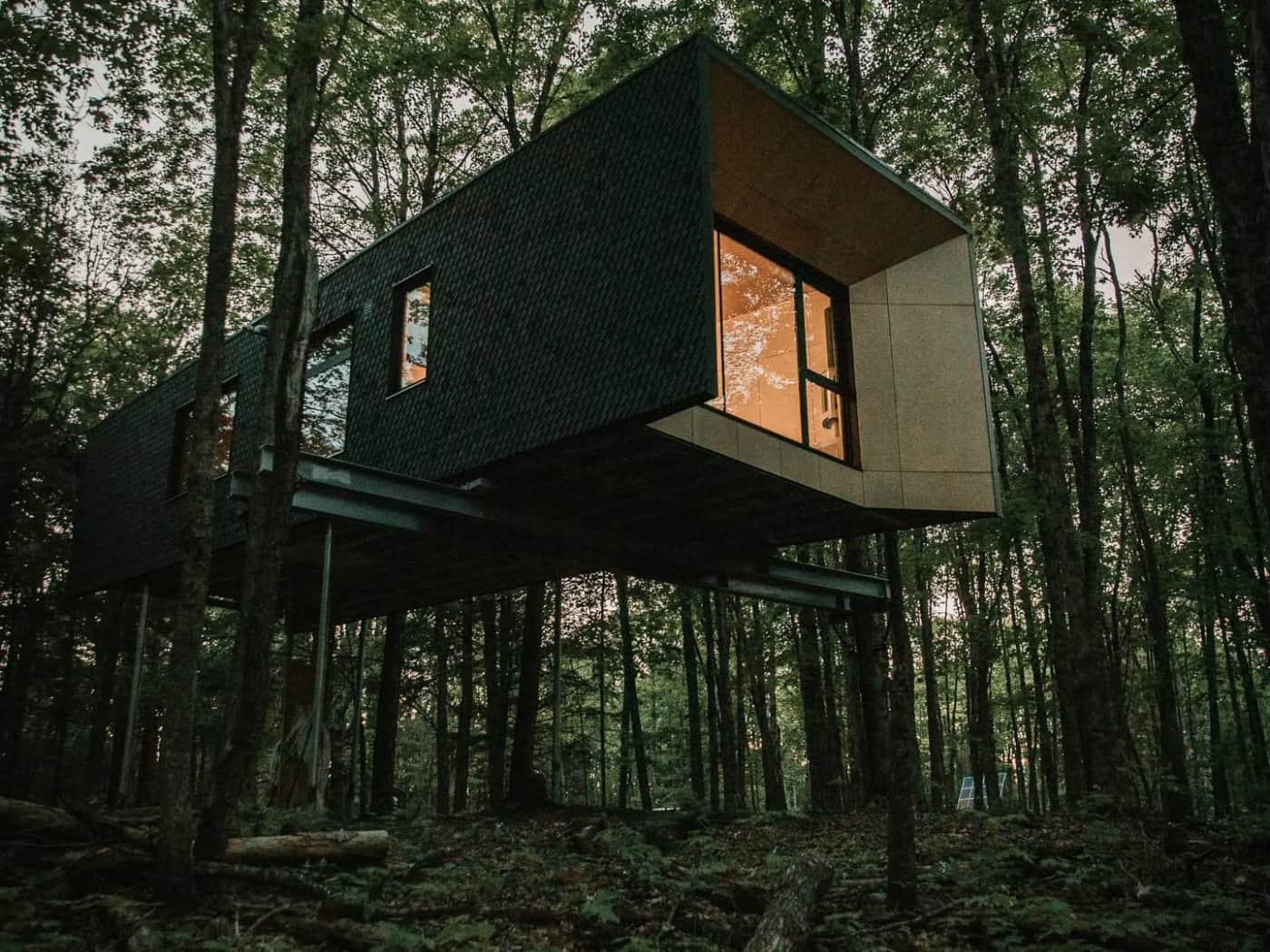 Hårtwood Treehouse Hotel