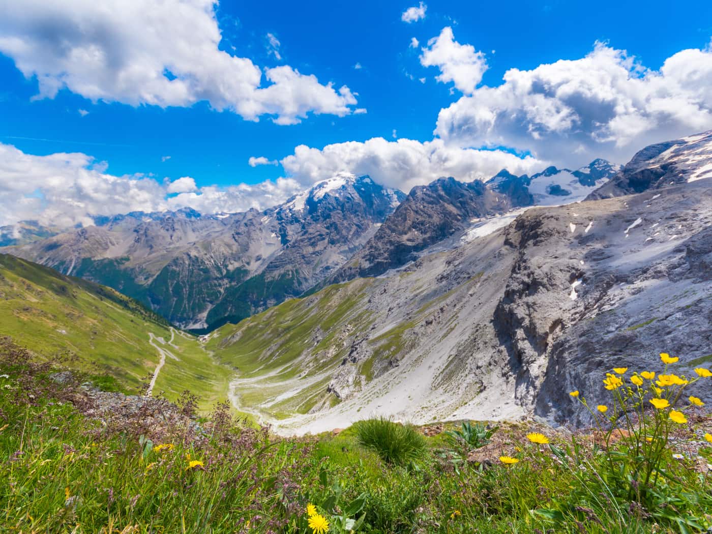 Parco dello Stelvio