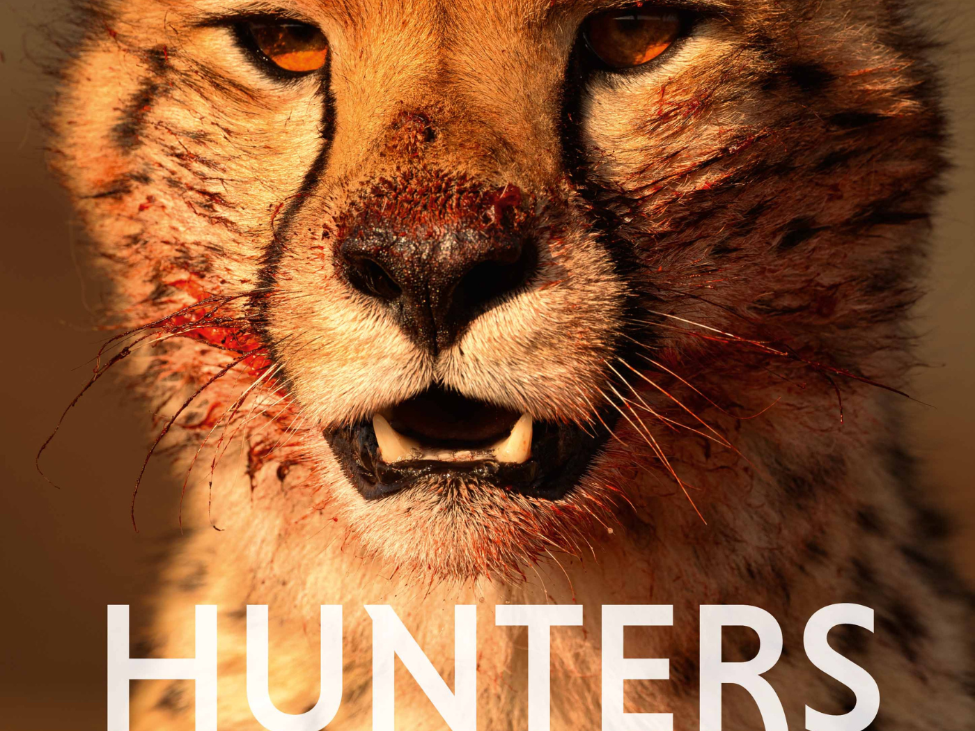 Hunters (24 ORE Cultura)