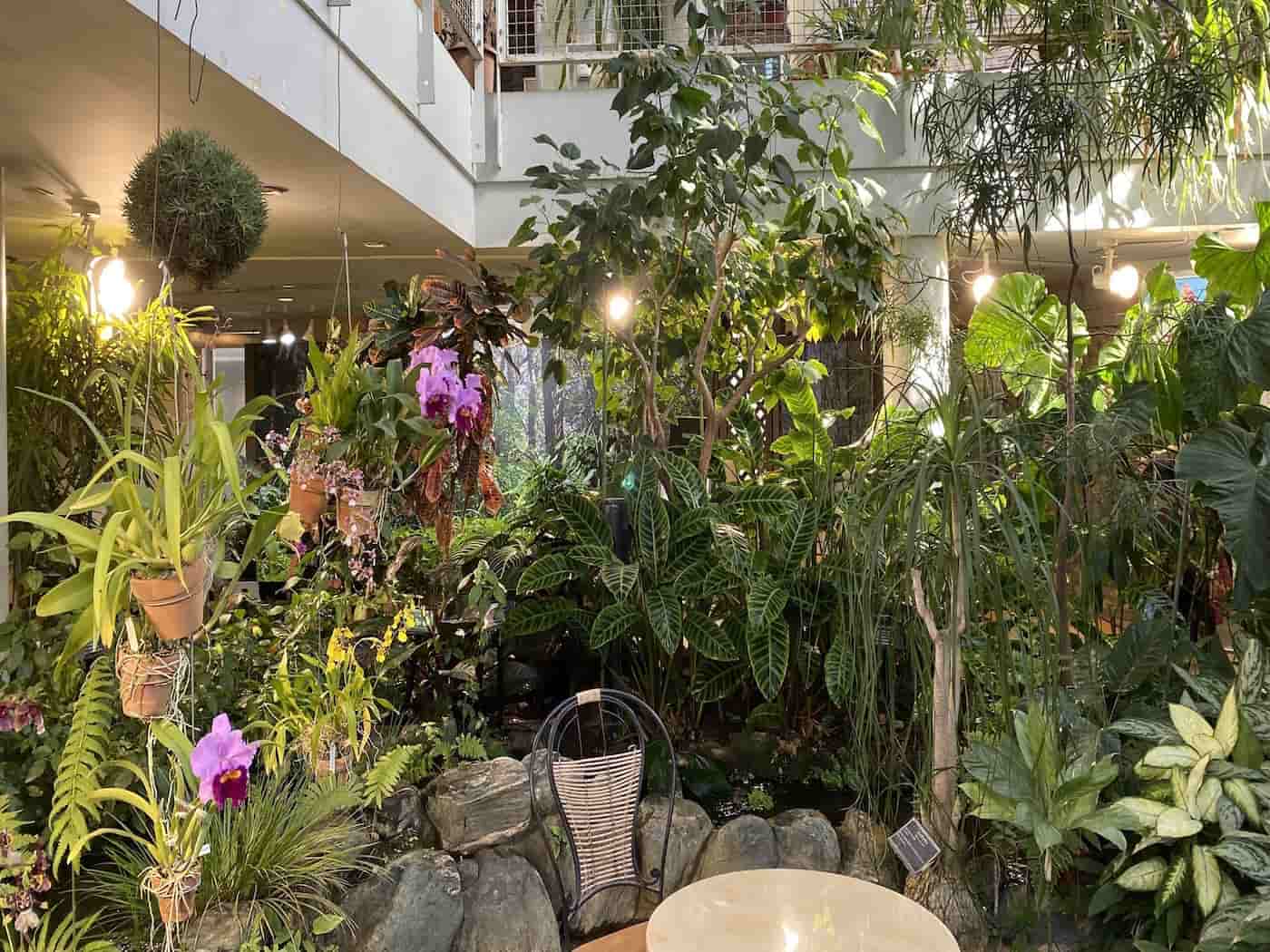 Un giardino botanico nel cuore di Shibuya