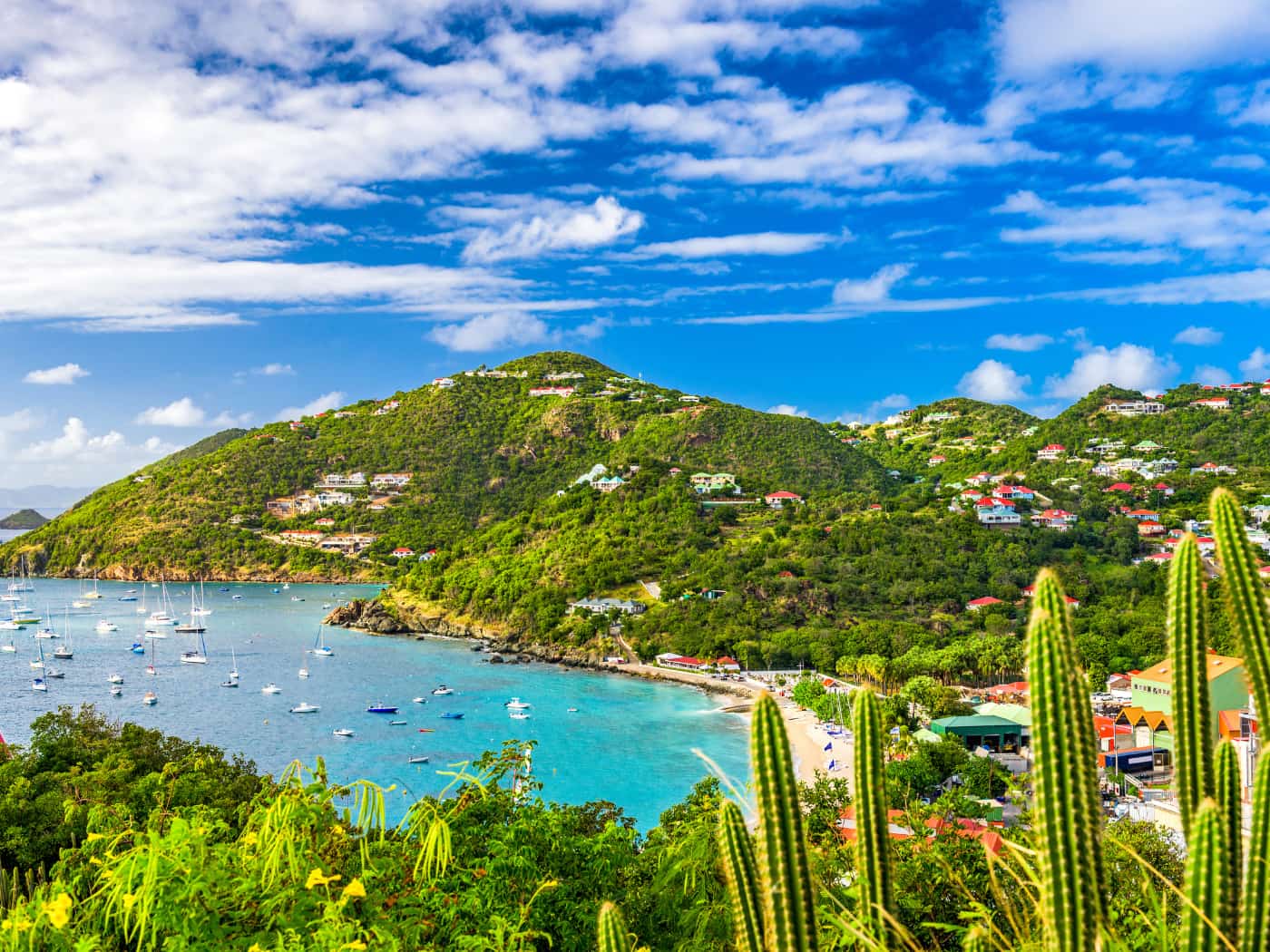  St. Barts 