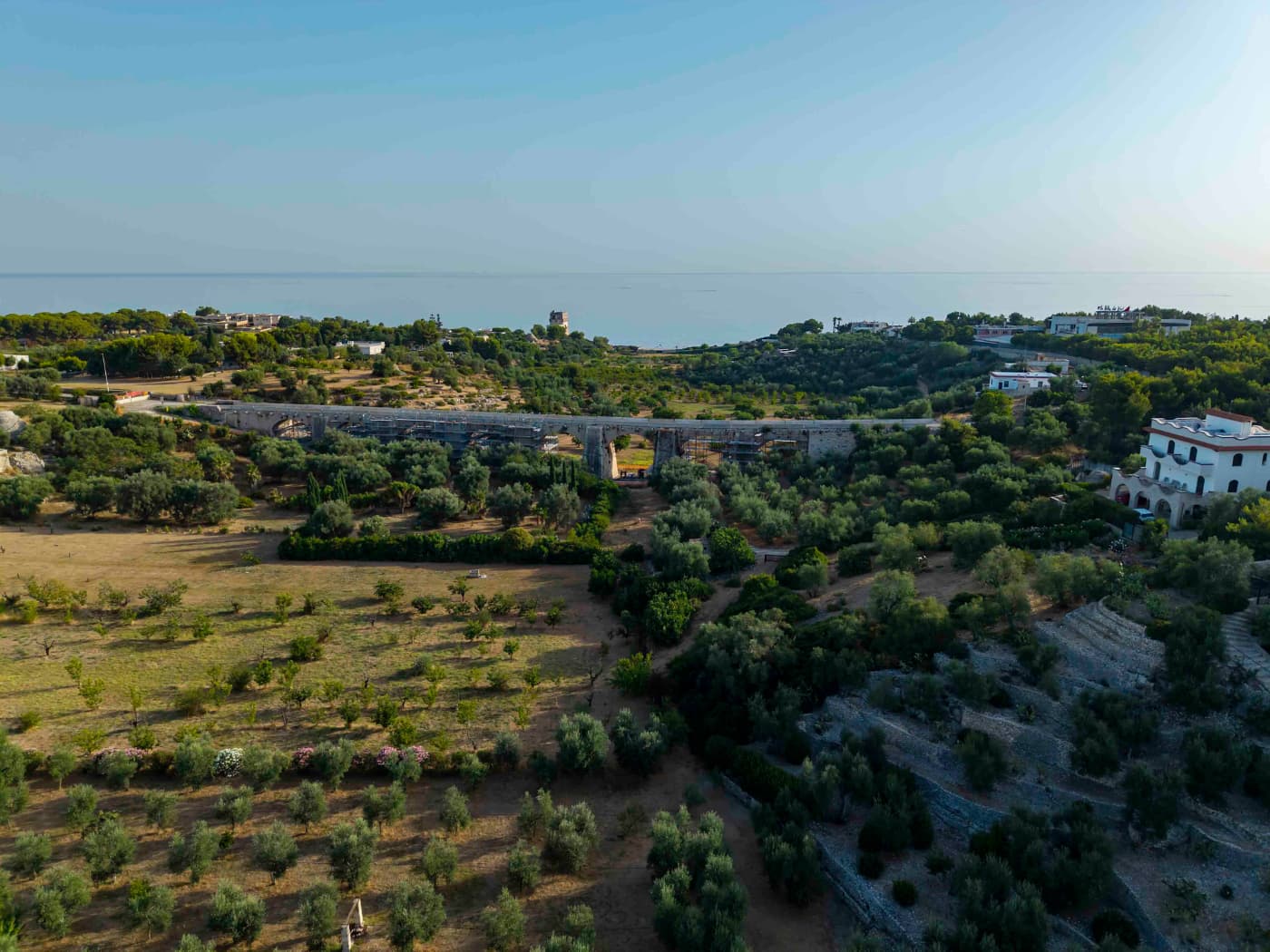 Lame di Puglia. Foto Paolo Fedele