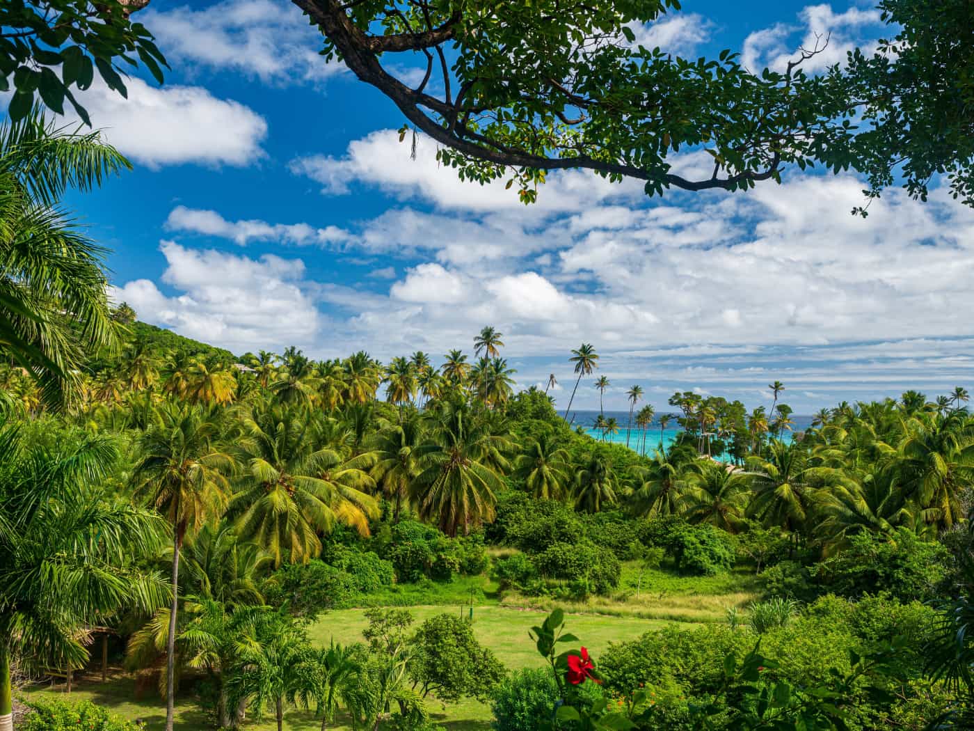 Canouan, St. Vincent e Grenadine