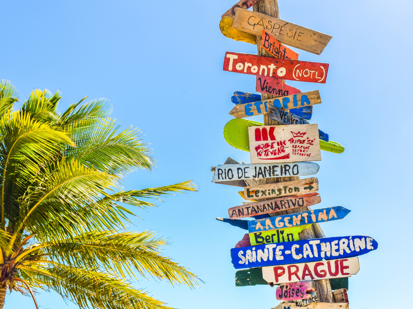 perche-torniamo-stesso-posto-vacanza-psicologia