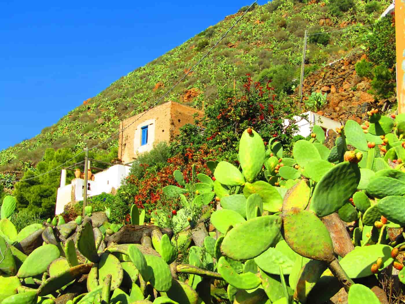 Alicudi (Sicilia), dove ritrovare il silenzio 