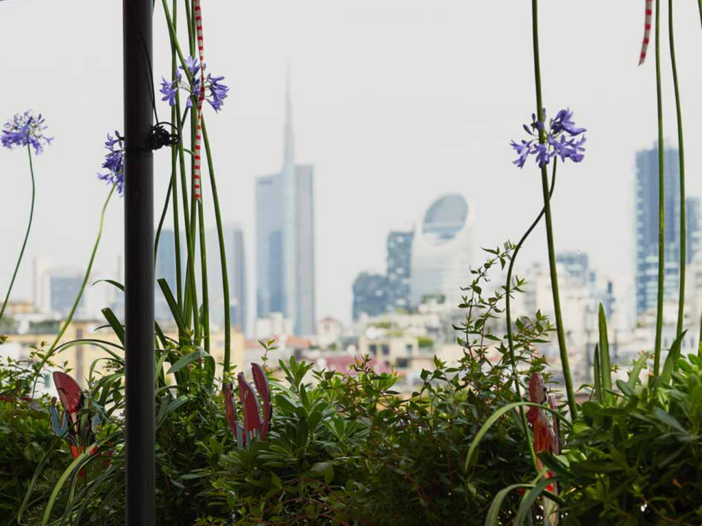 terrazze-milano-after-dinner-rooftop-langosteria