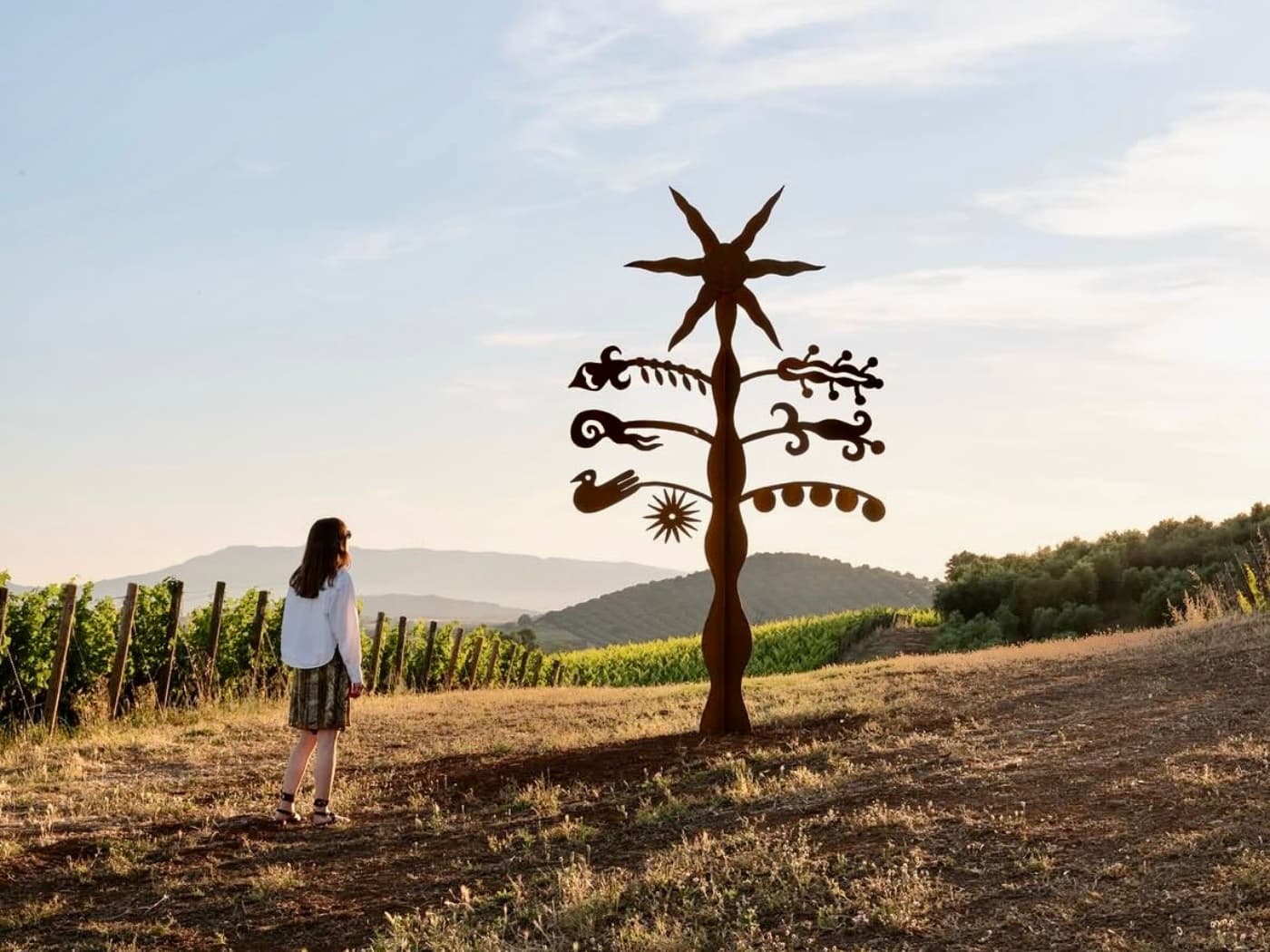 Albero della Maremma, una scultura di Azzurra Galatolo
