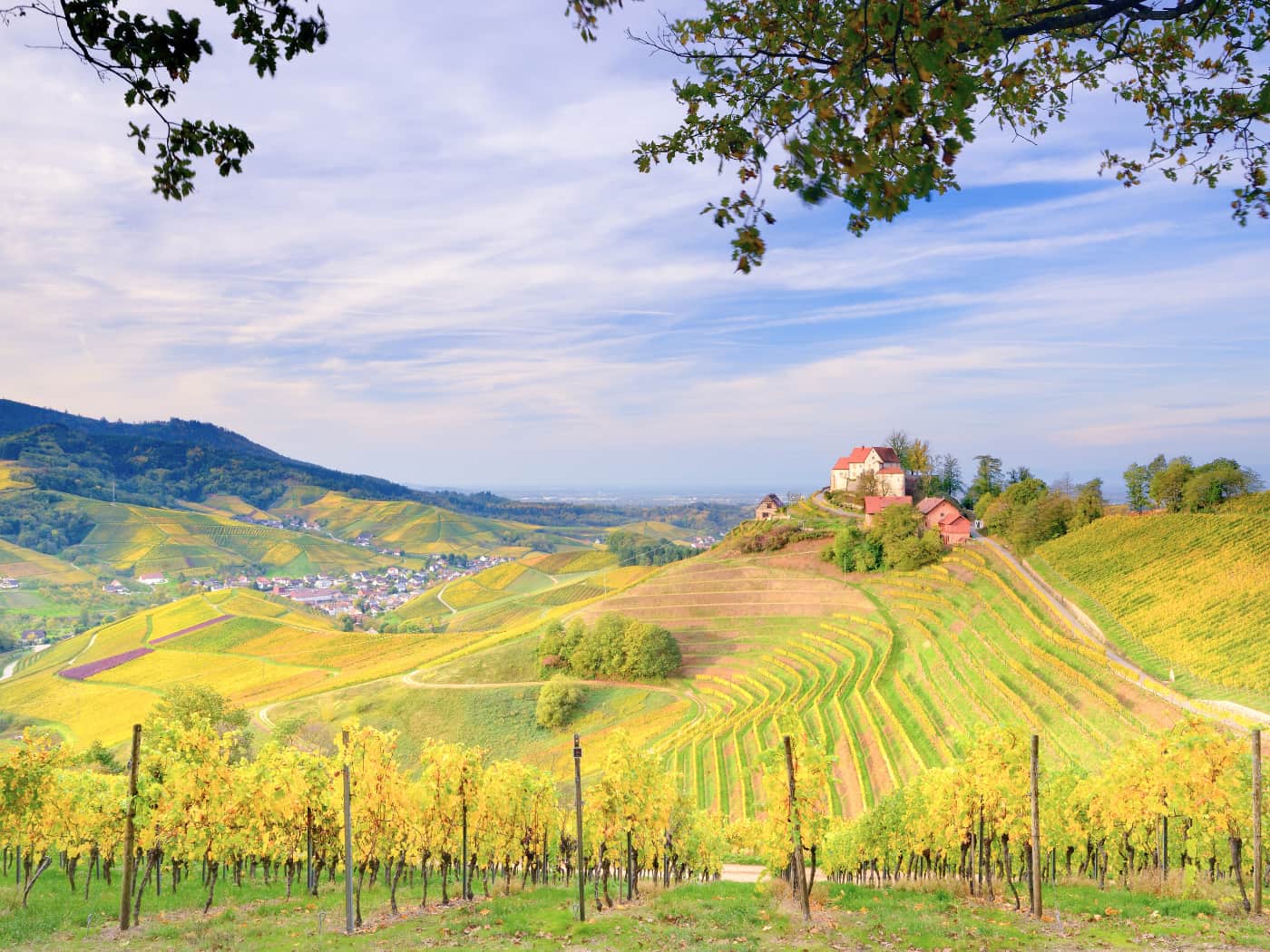 Cantine aperte