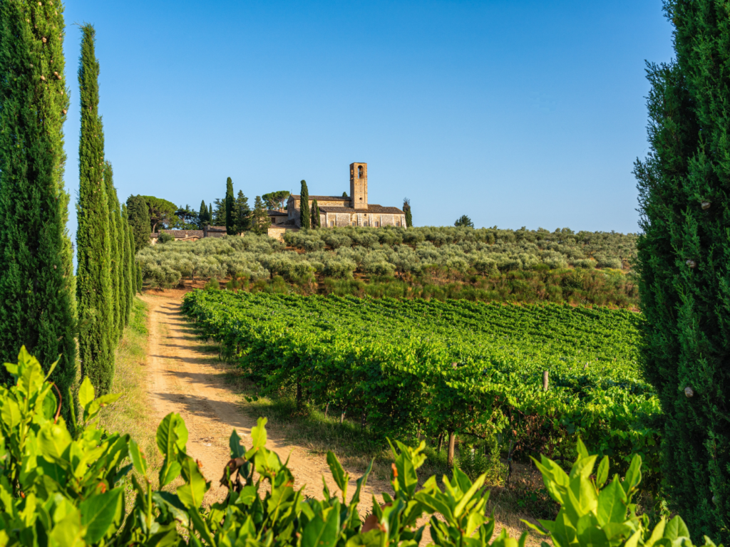 abbazie-via-francigena-monasteri-cistercensi-monte-oliveto-minore