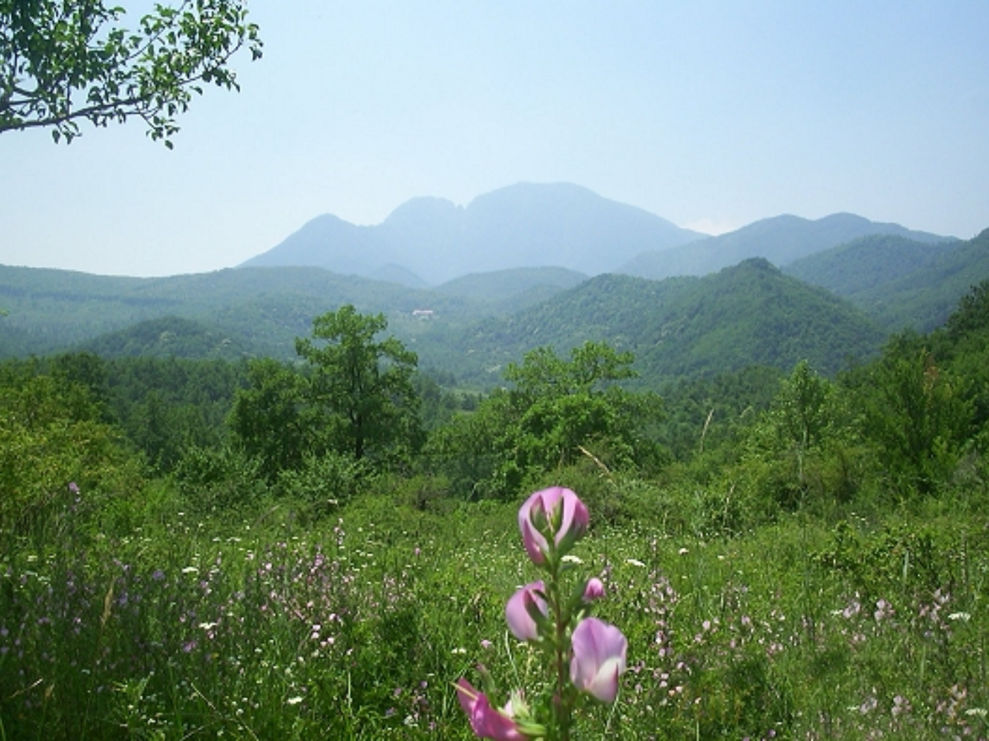 irpinia-turismo-lento-borghi-cammini-enoturismo