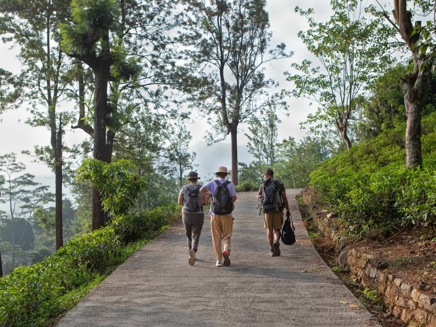 Pekoe Trail - Sri Lanka