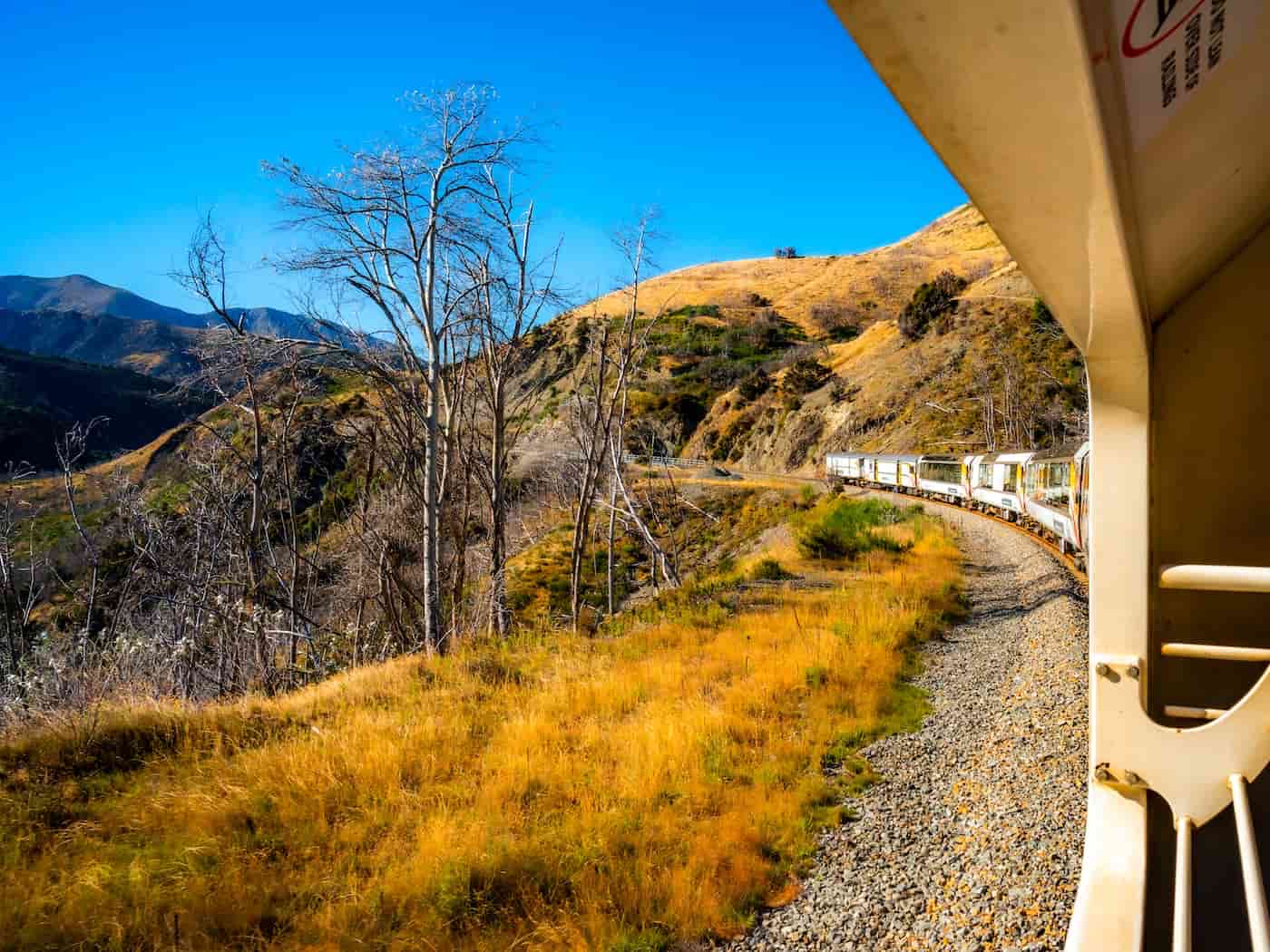 TranzAlpine, Nuova Zelanda