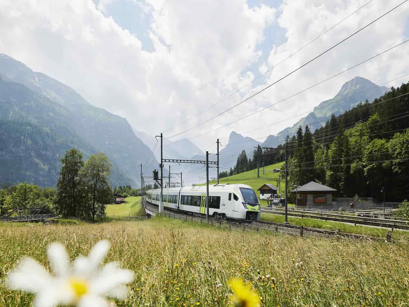Trenino Verde delle Alpi, Italia e Svizzera