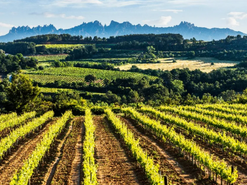 spagna-comarcas-da-scoprire-penedes