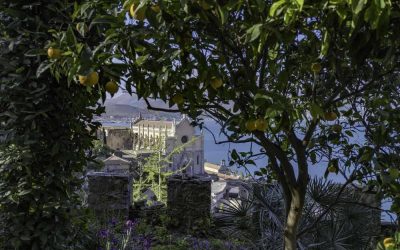 Credit: Dario Fusaro - Archivio Grandi Giardini Italiani
