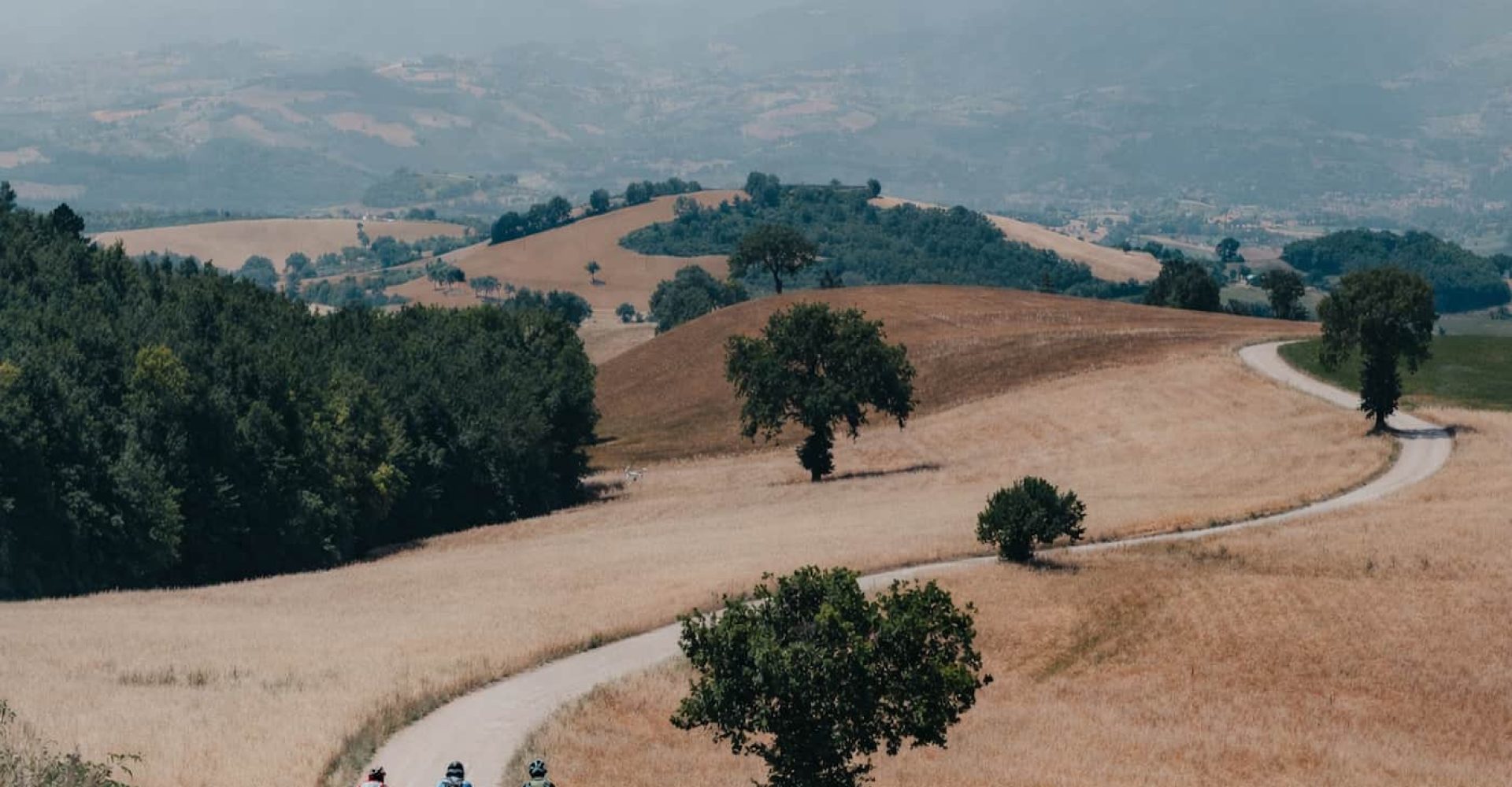 Ciclisti sulla strada di campagna