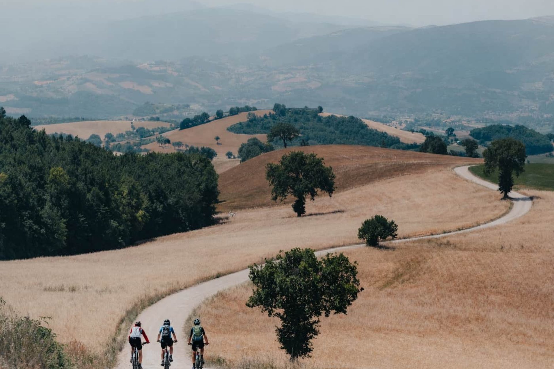 Ciclisti sulla strada di campagna
