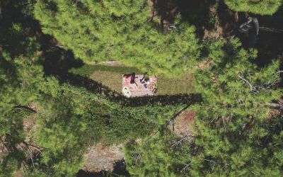 Picnic all’ Eco-Farm Portofinense