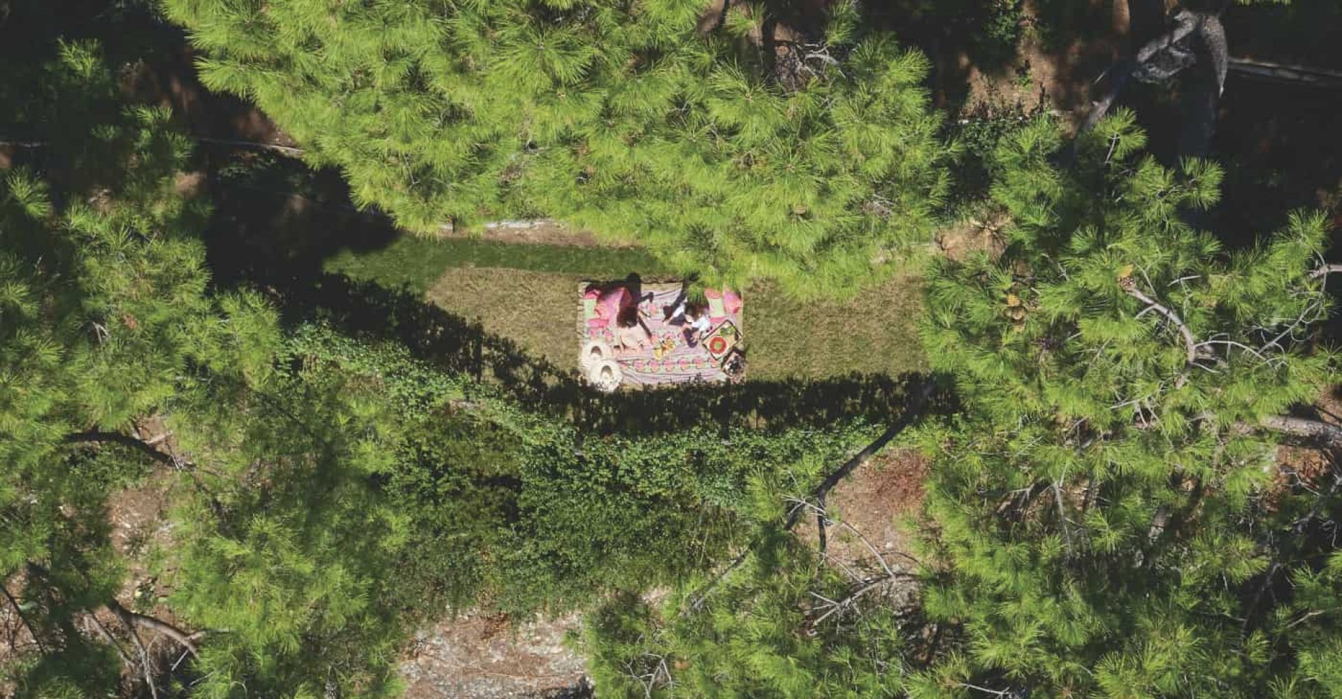 Picnic all’ Eco-Farm Portofinense
