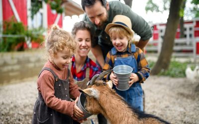 Cover_Credits Unsplash-2