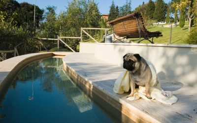 Thermal Pool, Fonteverde Lifestyle & Thermal Spa