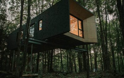 Hårtwood Treehouse Hotel