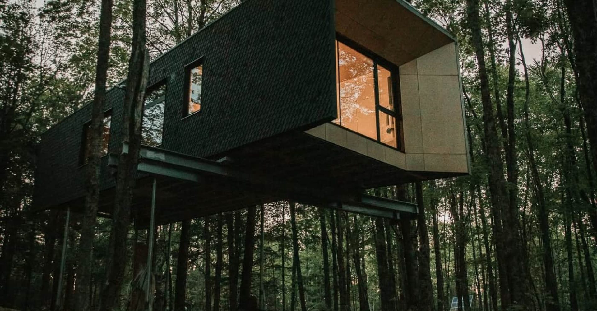 Hårtwood Treehouse Hotel