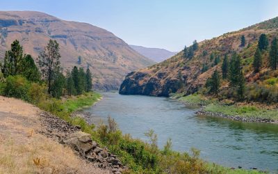 Graves Creek Road along the Salmon River