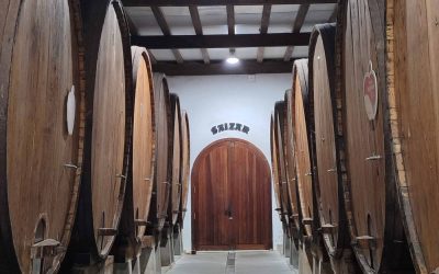 La bottaia della sidreria Saizar, a Usurbil, che ospita il rito del txtox.