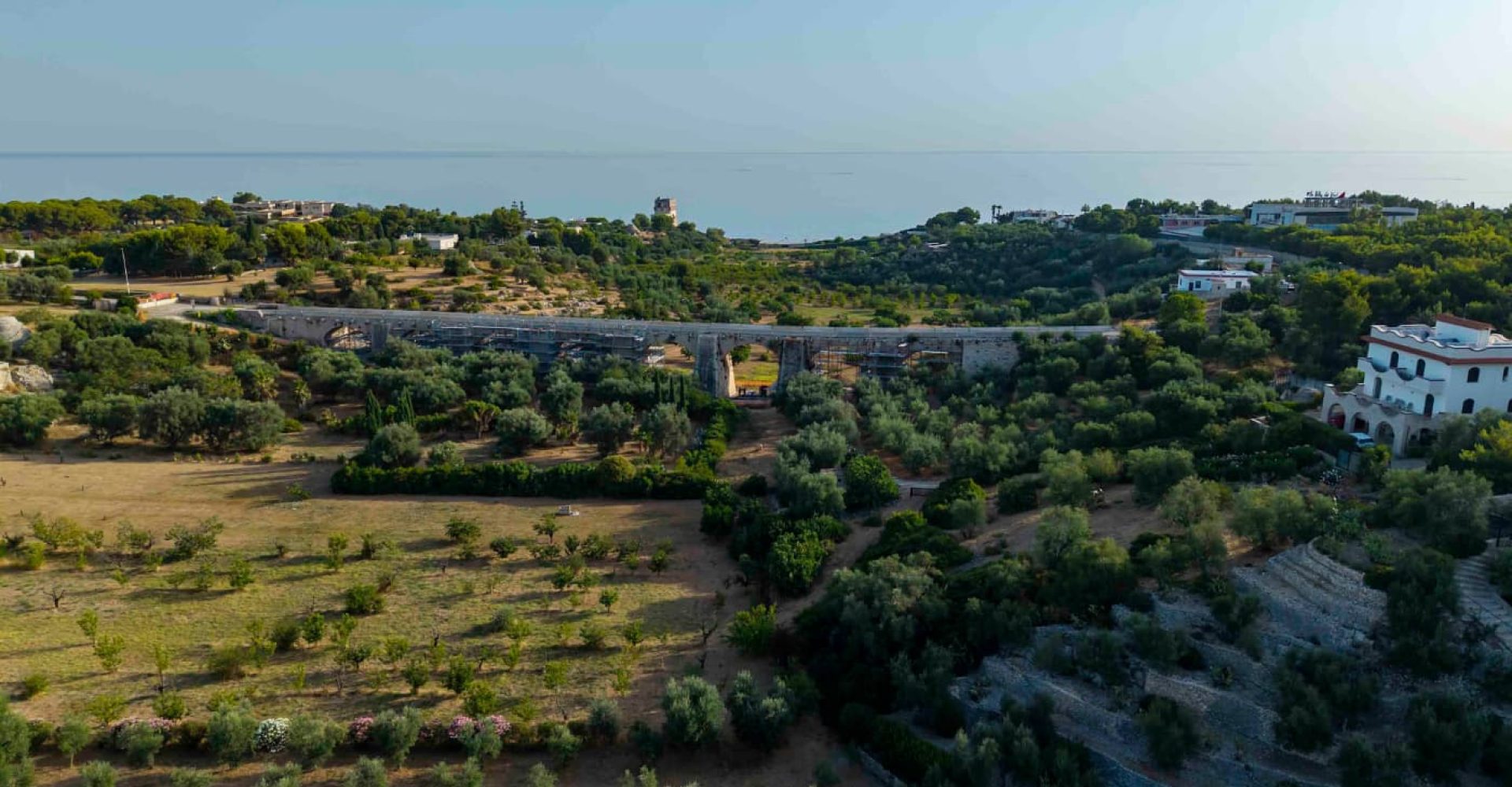 Lame di Puglia. Foto Paolo Fedele