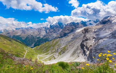 Parco dello Stelvio