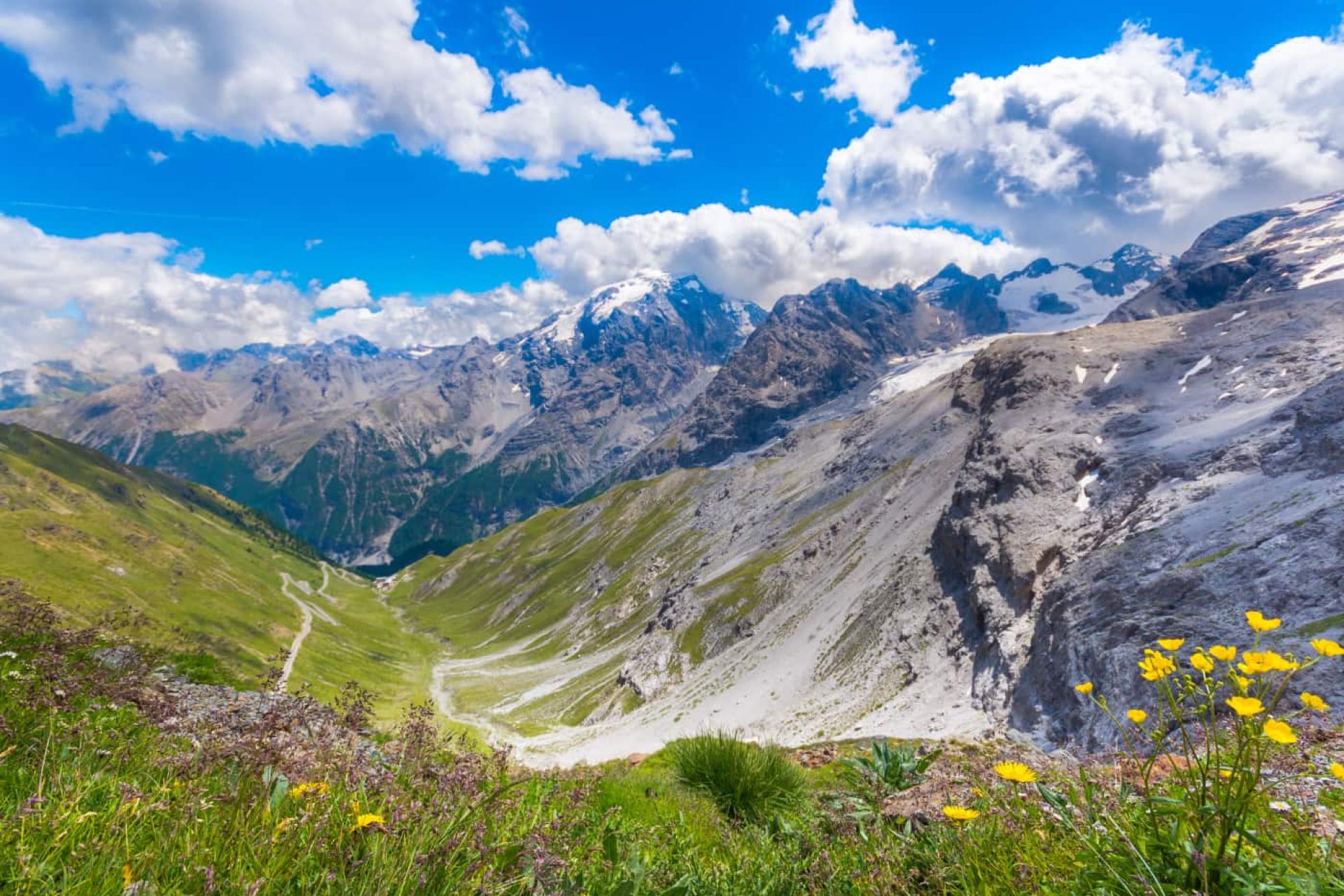 Parco dello Stelvio