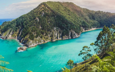 Credit: Estanis Banuelos/Getty Images