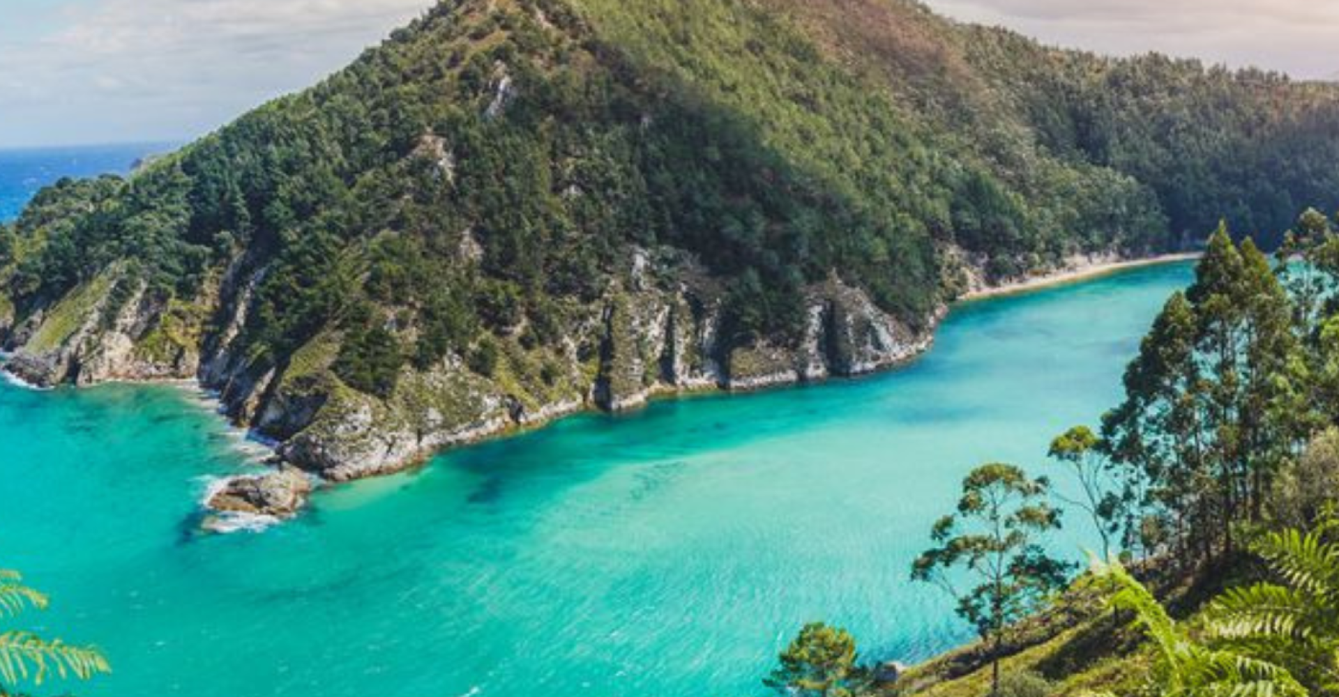 Credit: Estanis Banuelos/Getty Images