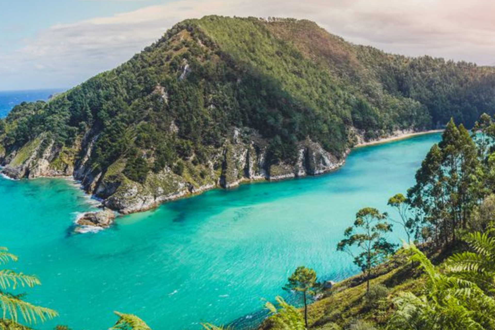 Credit: Estanis Banuelos/Getty Images