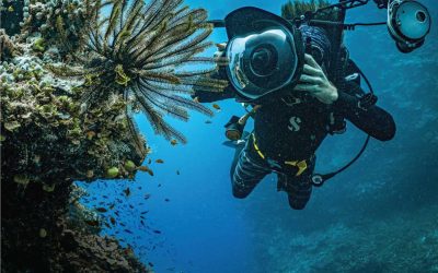 Un subacqueo fotografa una
barriera corallina nei
pressi di Wakaya
Island, alle Fiji